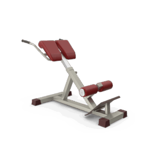 Fitness Dash Bike